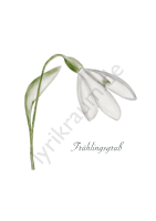 Frühlingsgruss